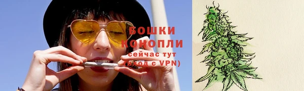 шишки Хадыженск