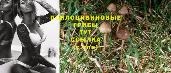 дистиллят марихуана Горняк