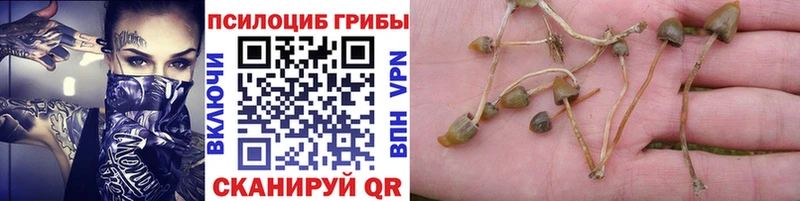 Галлюциногенные грибы мицелий  Озёры 